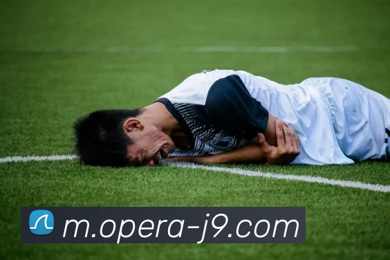 App Interface Preview