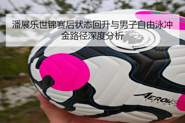 潘展乐世锦赛后状态回升与男子自由泳冲金路径深度分析 | jiuyousports